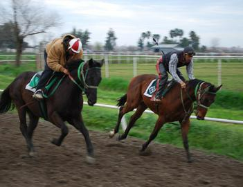 Two men are riding horses on a dirt track.