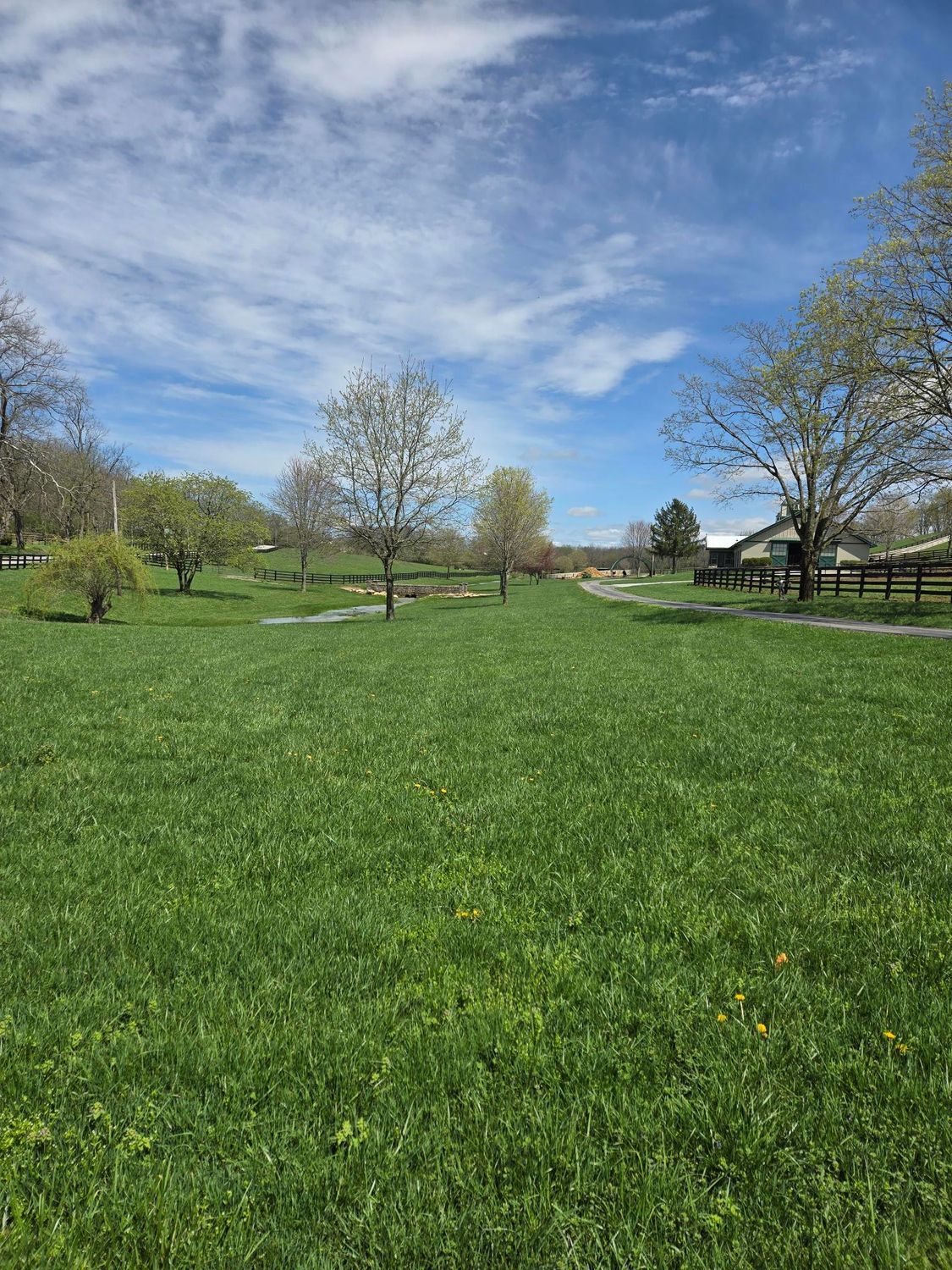A large grassy field with trees in the background on a sunny day.