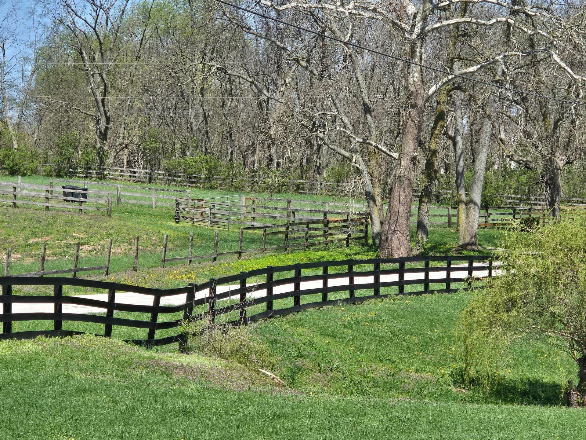 A wooden fence surrounds a grassy field with trees in the background.