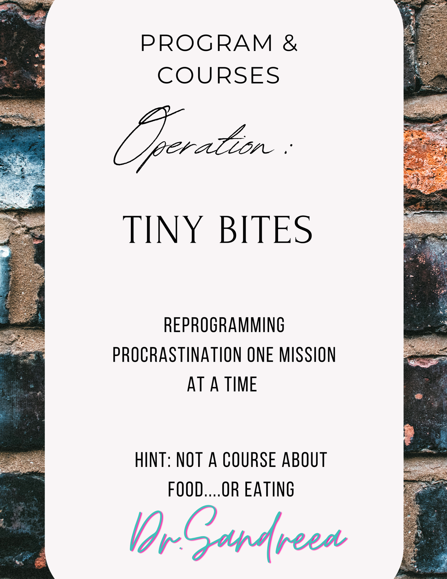 A poster with a brick wall in the background that says `` program & courses operation tiny bites ''.