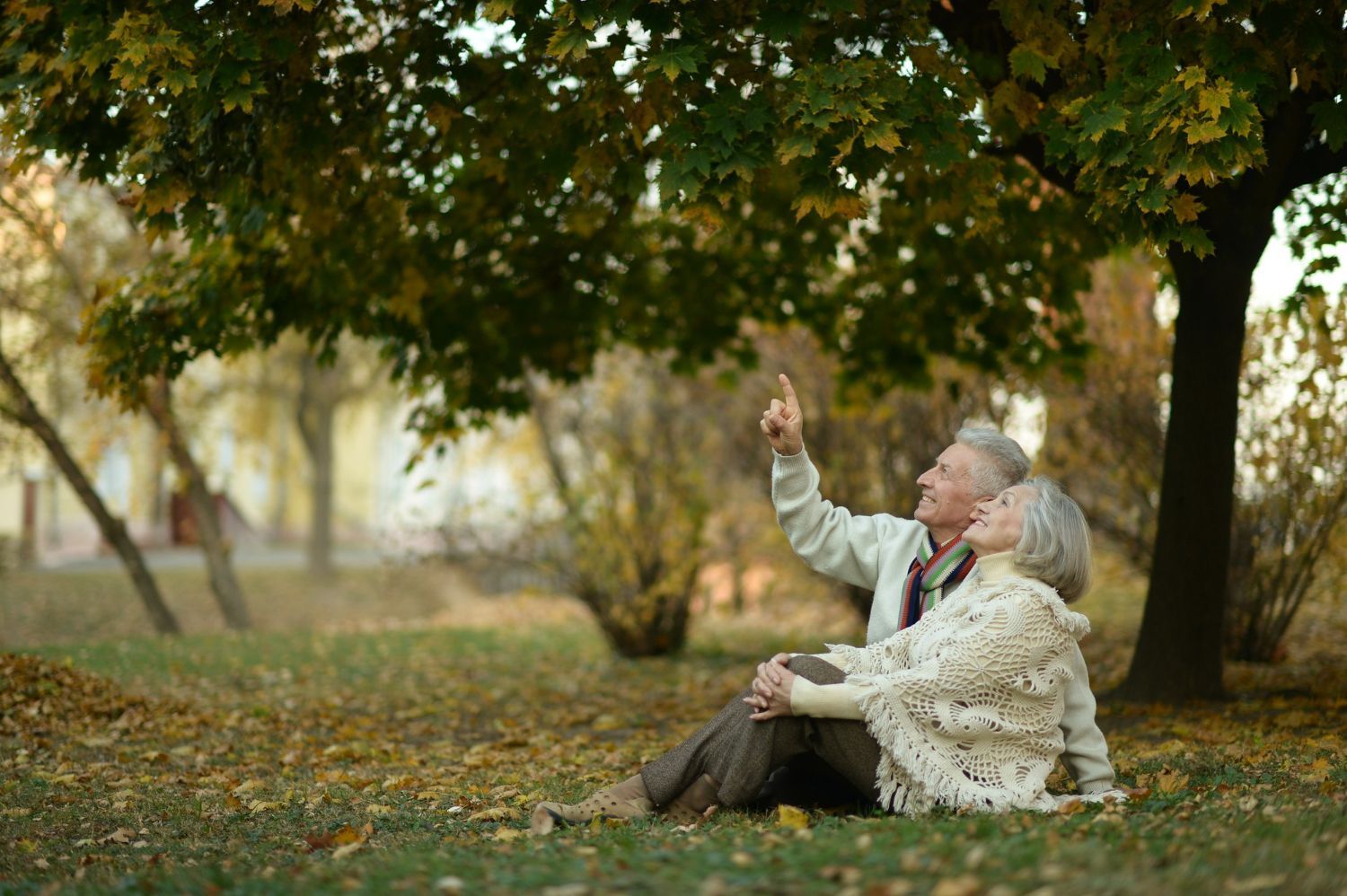 An elderly couple is sitting under a tree in a park.
