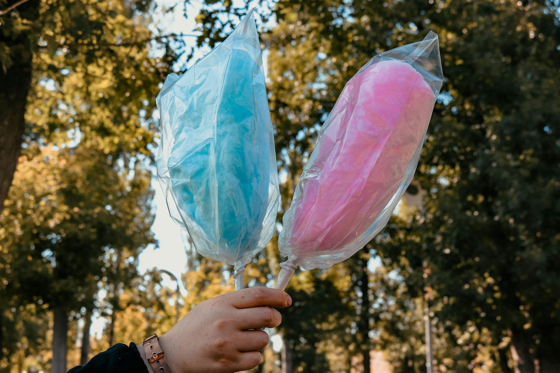 Blue and pink cotton candy