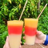 tropical drinks