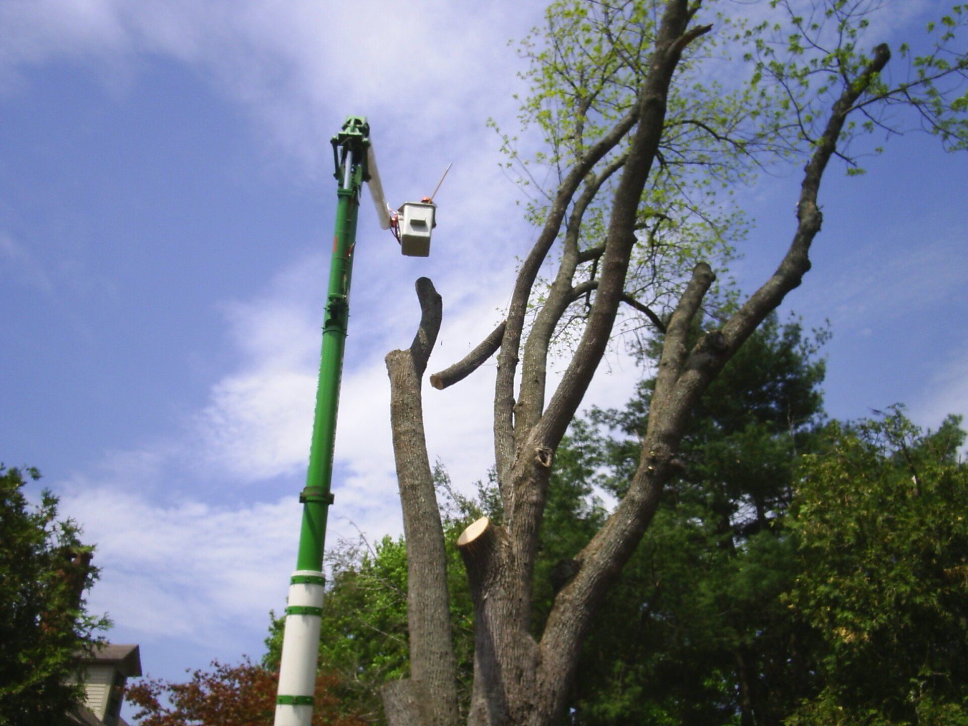 Green Lifting Truck | Brooklyn, CT | Page's Tree Service LLC