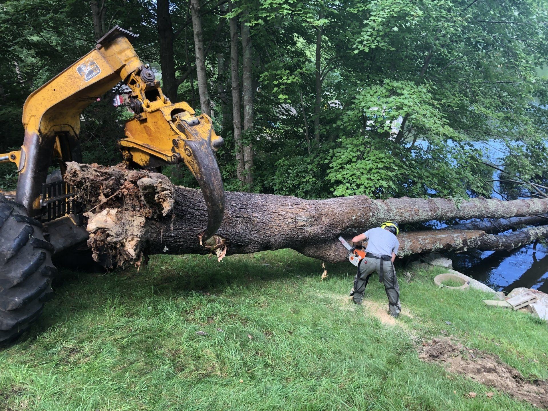 Cutting Wood | Brooklyn, CT | Page's Tree Service LLC