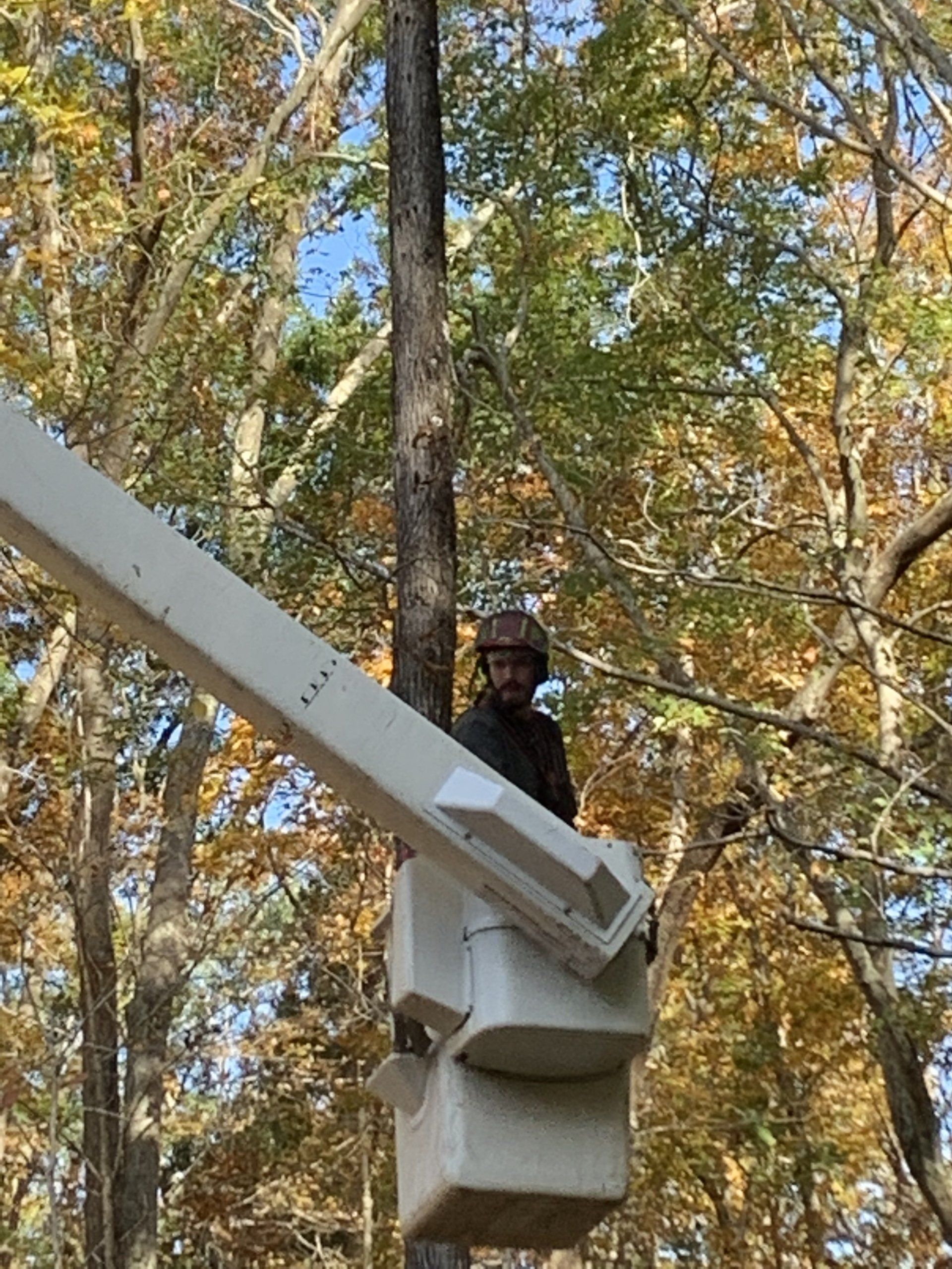 Man In A Lifting Truck | Brooklyn, CT | Page's Tree Service LLC