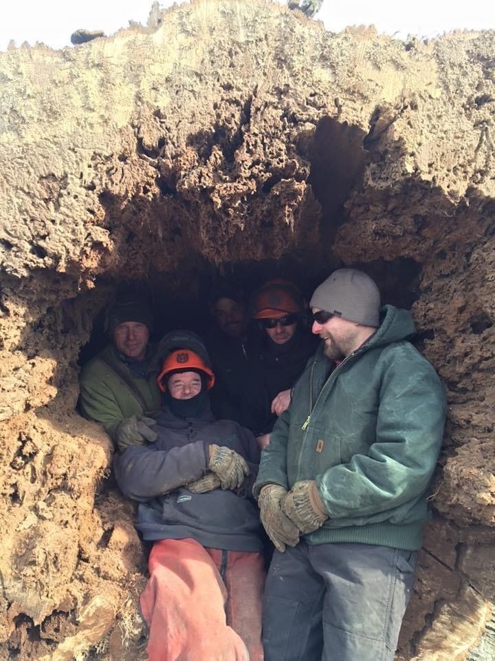 Team Groupie | Brooklyn, CT | Page's Tree Service LLC