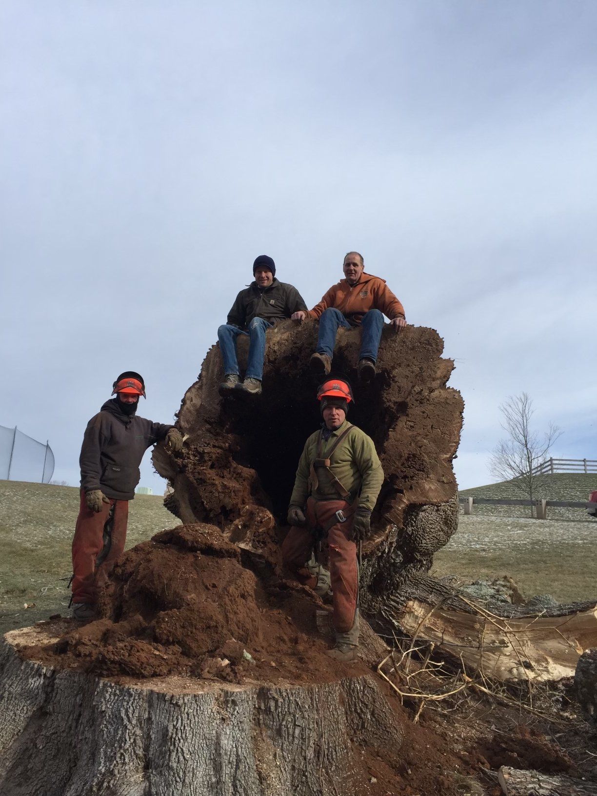 The Members | Brooklyn, CT | Page's Tree Service LLC