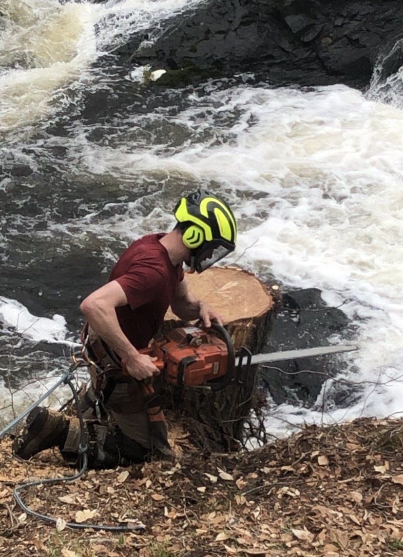 The Worker | Brooklyn, CT | Page's Tree Service LLC
