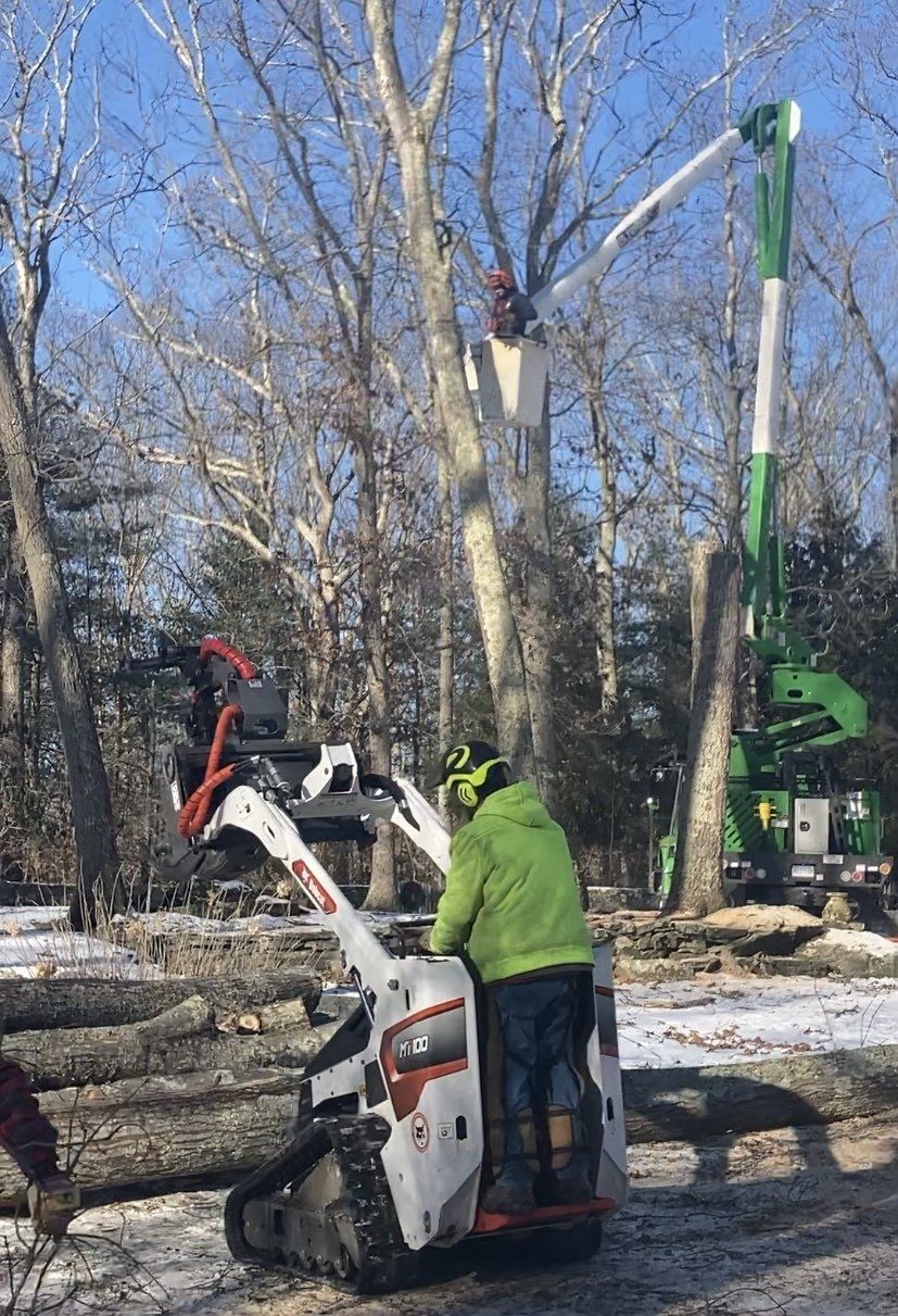 Moving The Wood | Brooklyn, CT | Page's Tree Service LLC
