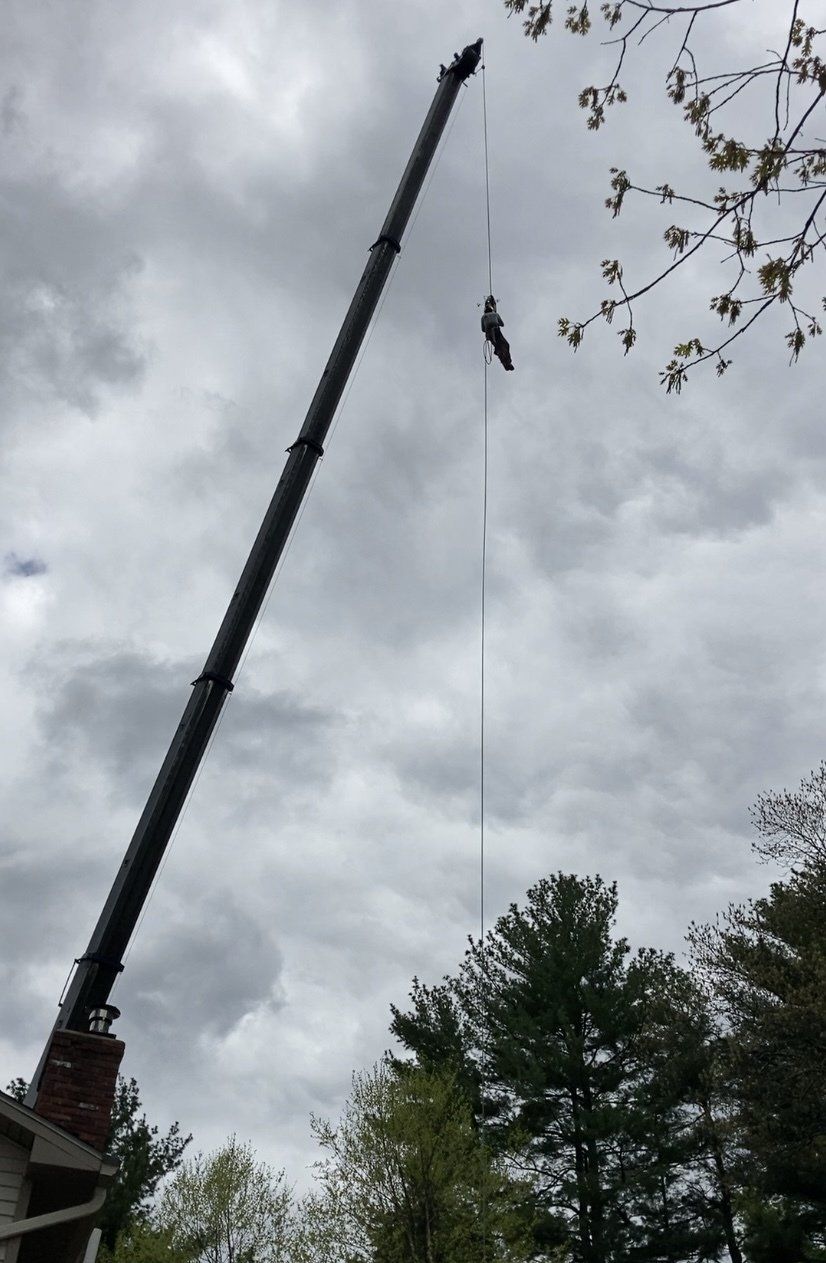 Lifting Tree | Brooklyn, CT | Page's Tree Service LLC