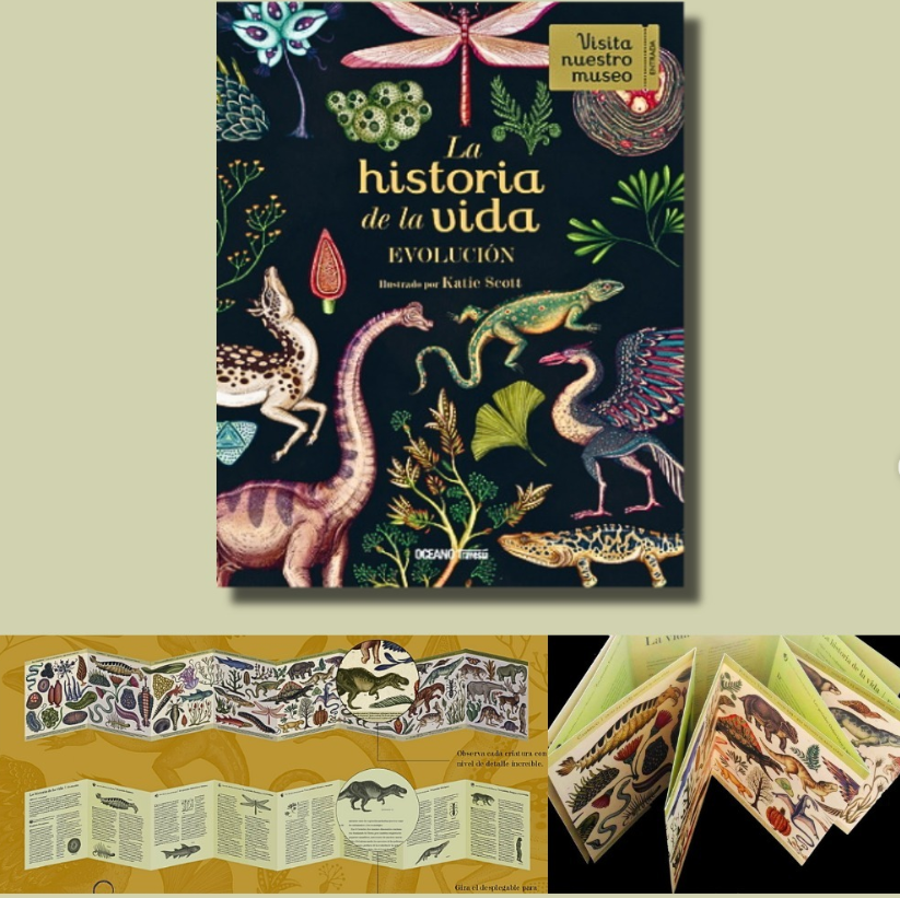 La Historia de la Vida - Evolución | Libro desplegable