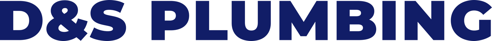 D&S PLUMBING logo in dark blue letters on a light blue background.