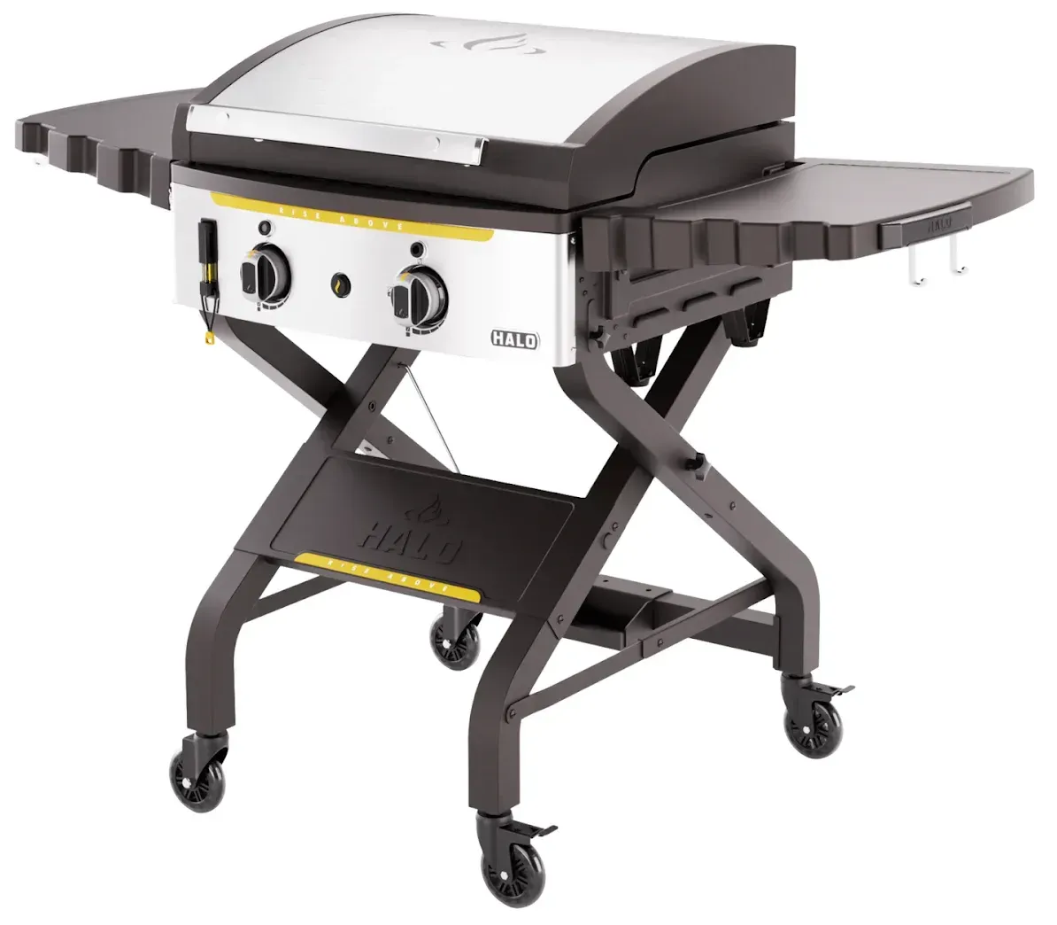 Outdoor Gas Grill