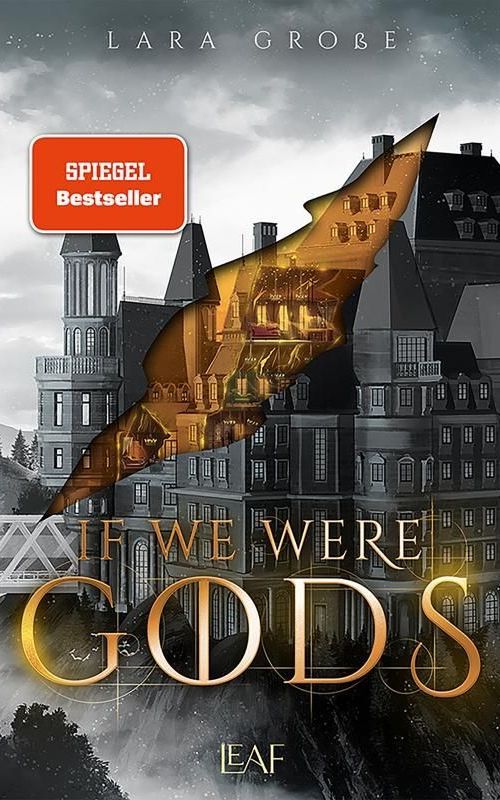 Das Cover des Buches „Wir waren Götter“ von Lara Grobe