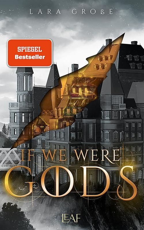 Das Cover des Buches „Wir waren Götter“ von Lara Grobe