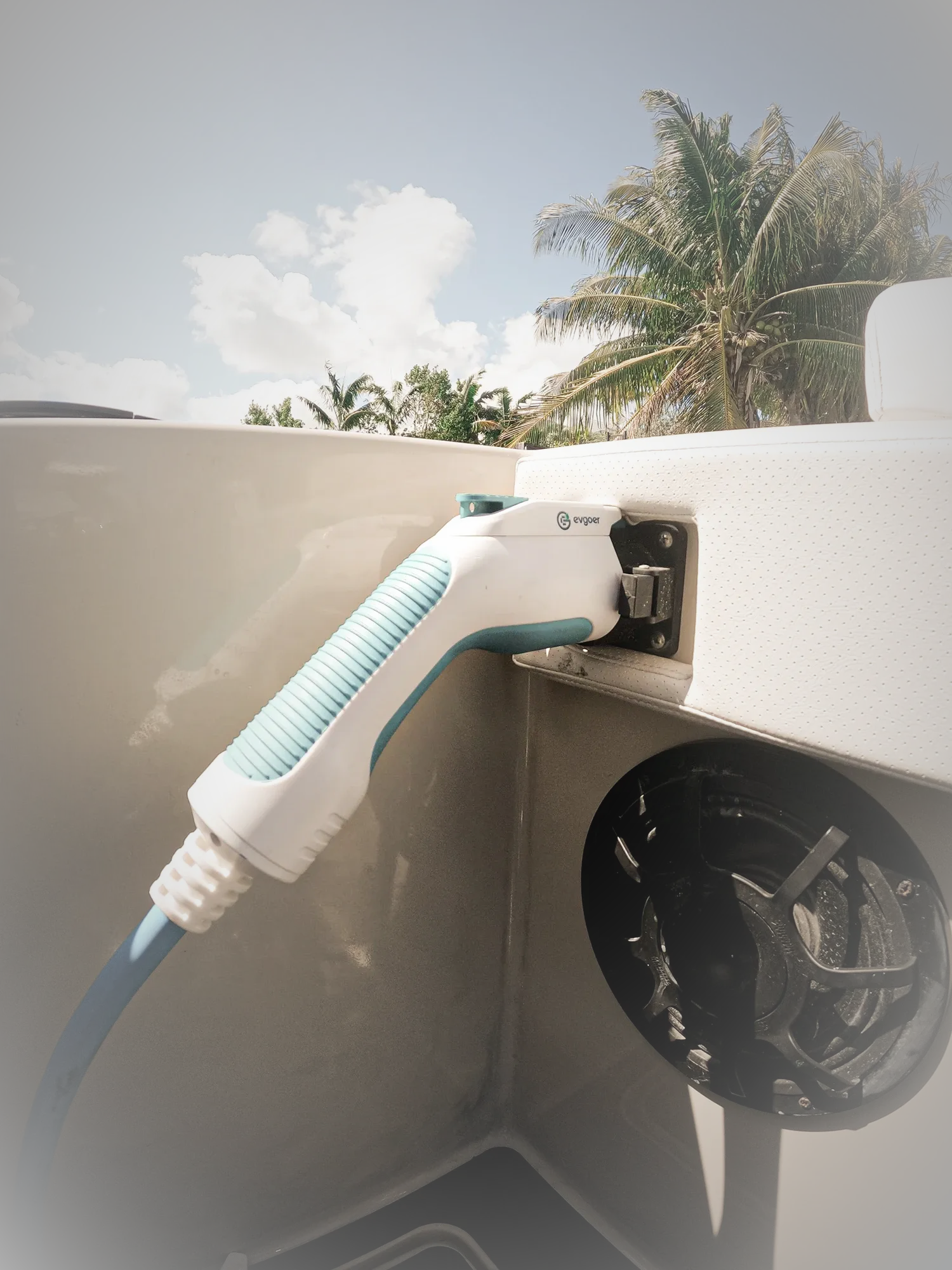 modele2050 charging palm tree in background