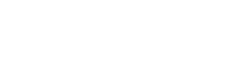 Elation Brewing