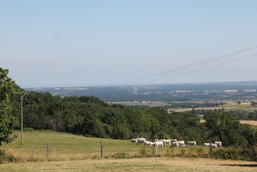 Huis te koop Auvergne