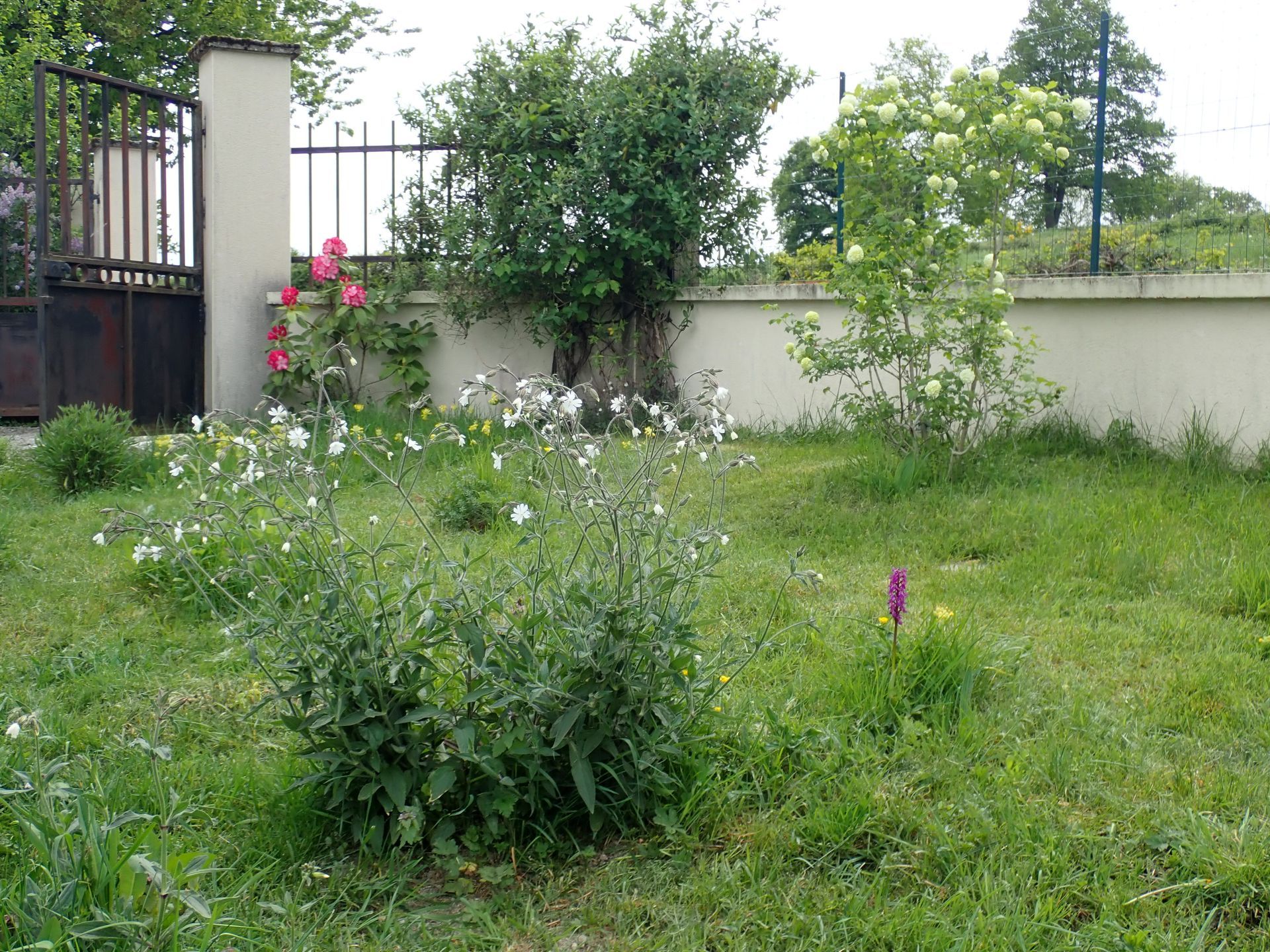 Huis te koop Auvergne