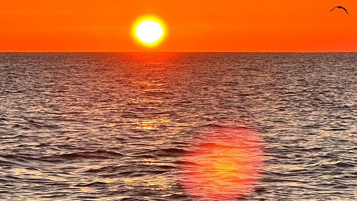 Vibrant orange sunset over a calm ocean. Sun's reflection shimmers on the water; a small bird flies overhead.