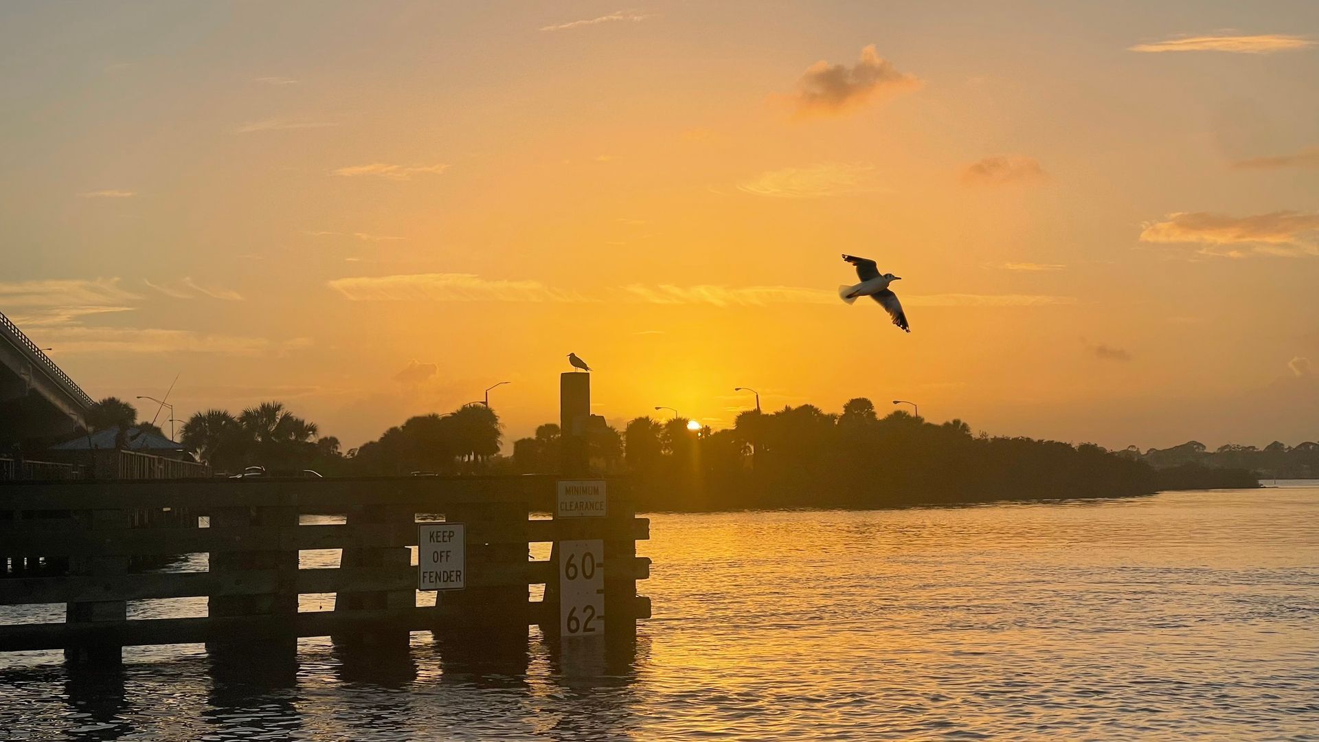 Sunset over water with a seagull in flight. Wooden dock posts in foreground, trees and a bridge silhouette the horizon.