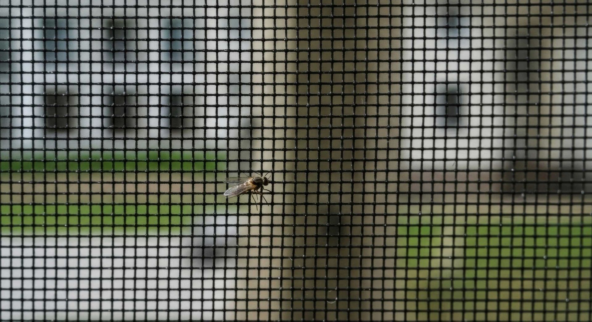 New Mesh Being Fitted Into A Window Frame For Flyscreen Replacement Ipswich