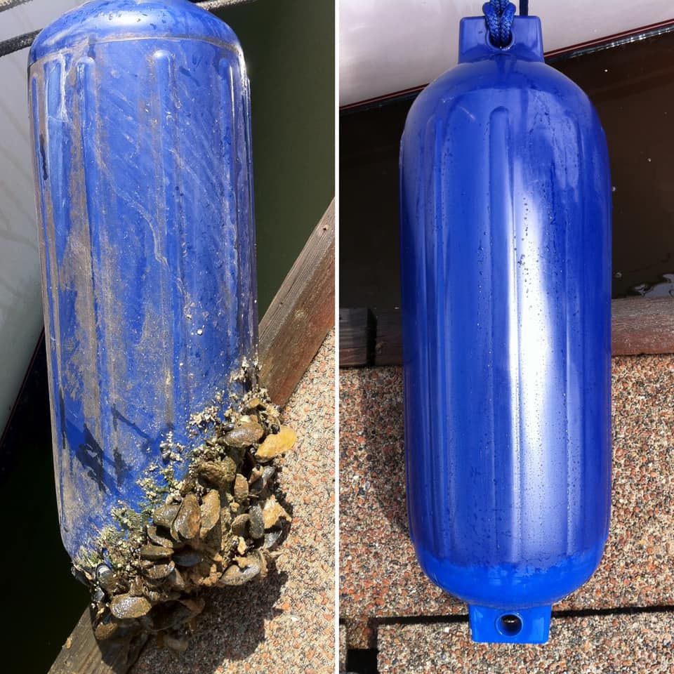 Comparison of a dirty blue boat fender covered in barnacles and a clean blue boat fender.