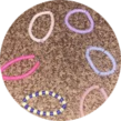 Pink, purple, and blue hair ties scattered on a brown surface.