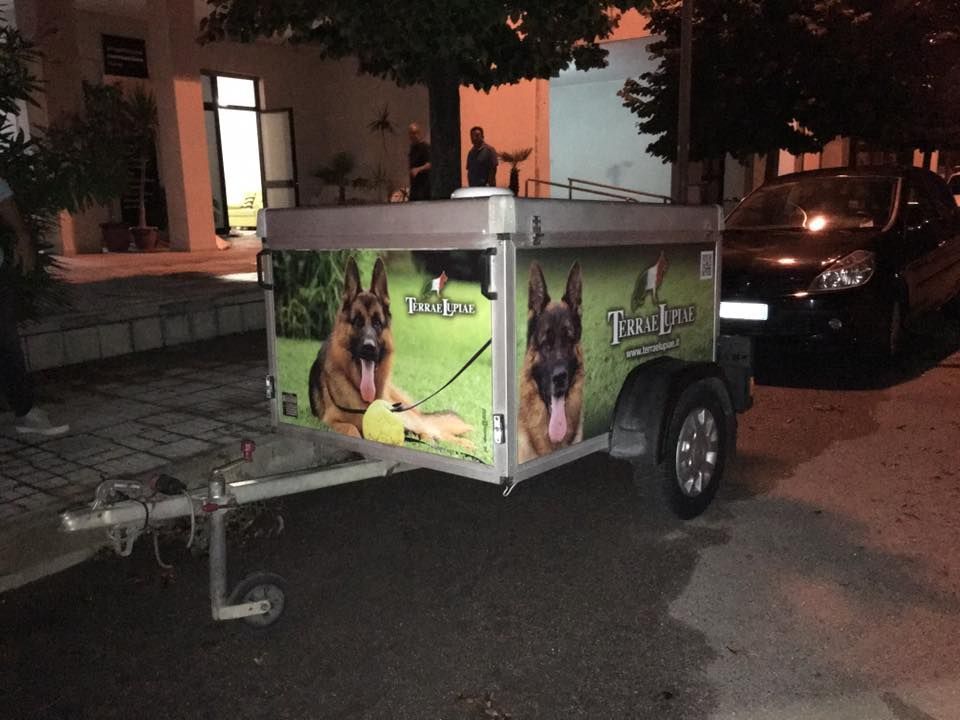 Un trailer con la foto di un pastore tedesco