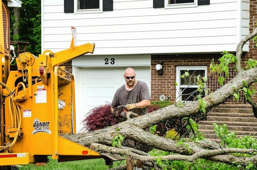 Working Crew Sawing Jime's Tree Service - Tree services in Albany NY