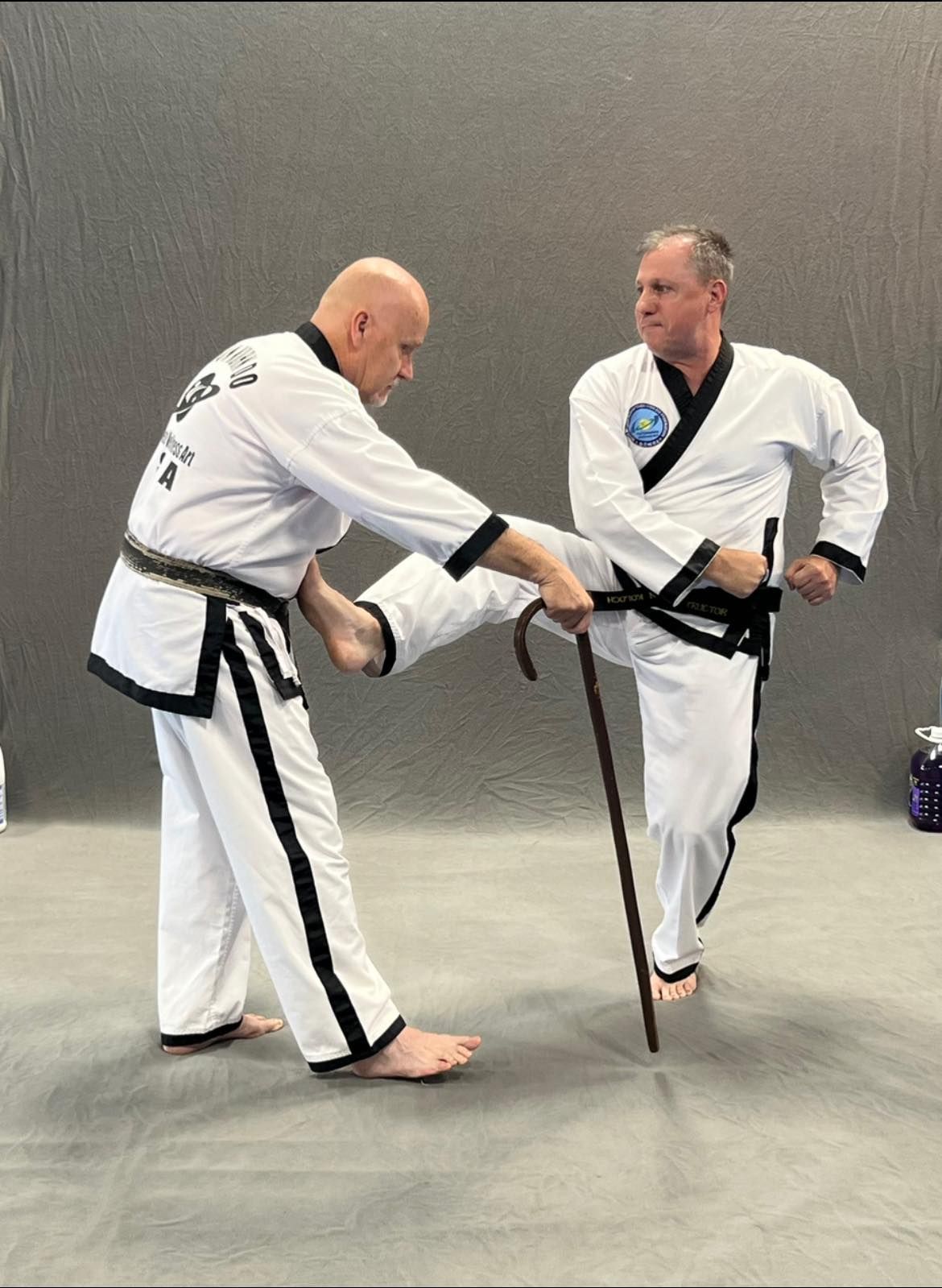 Two men are practicing martial arts with a cane.
