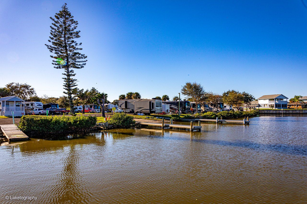 A lake with a dock and a tree in the middle of it.