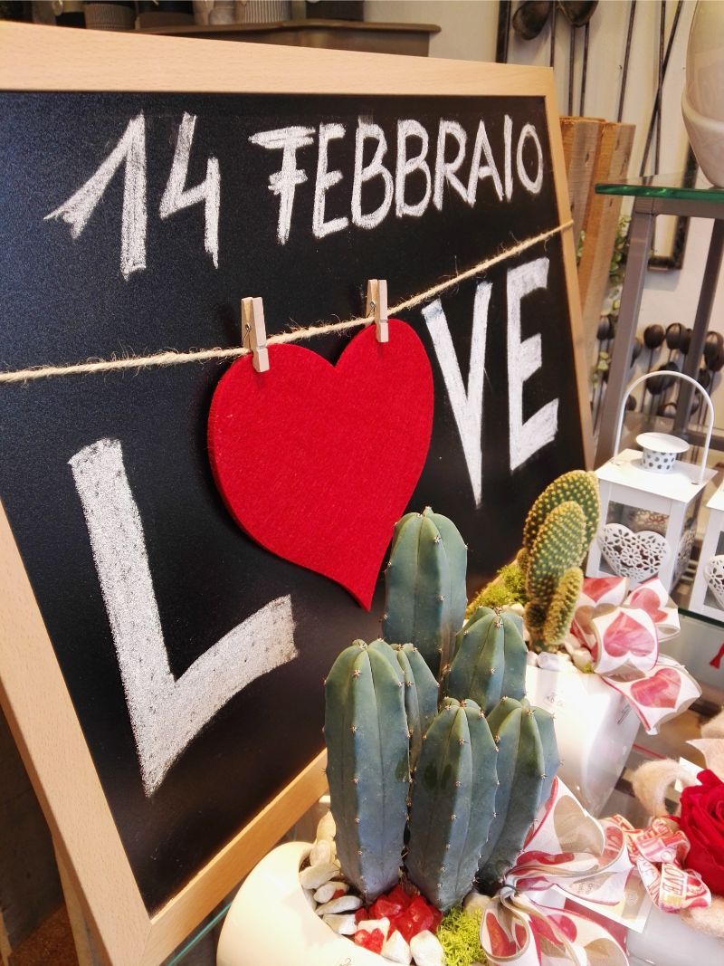 decorazione tavola con piante grasse mini