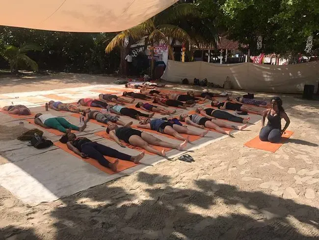 A group of people are laying on yoga mats on the ground.