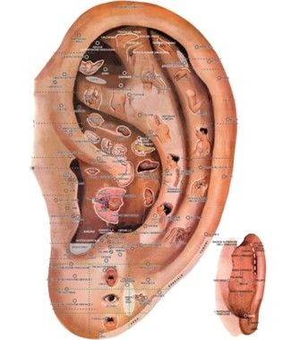 educazione alimentare