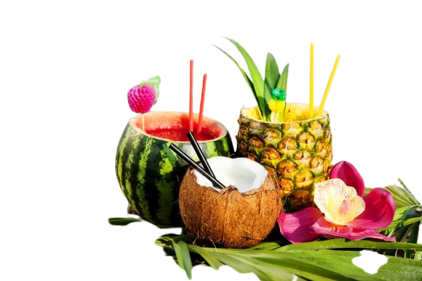 Boissons tropicales à la pastèque, à la noix de coco et à l'ananas avec des pailles, des fleurs et de la verdure.