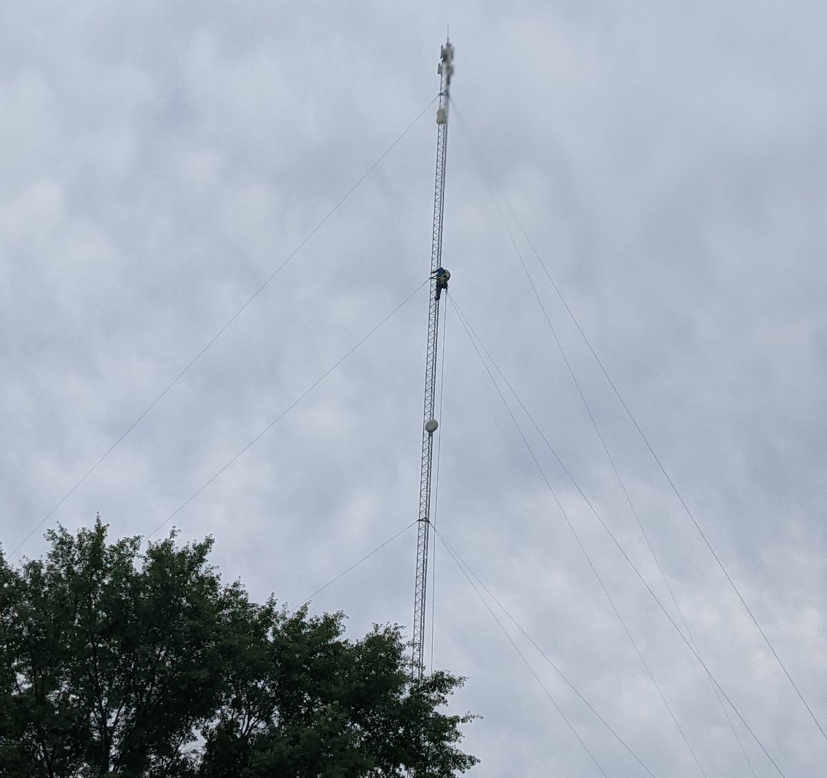 A person climbs a tall internet tower against a cloudy sky.