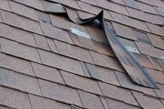 A damaged shingle roof with a piece of asphalt shingle torn and flapping upward, exposing the underlying roof deck.
