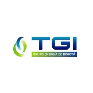 El logo de tgi grupo energia de bogota es azul y verde.