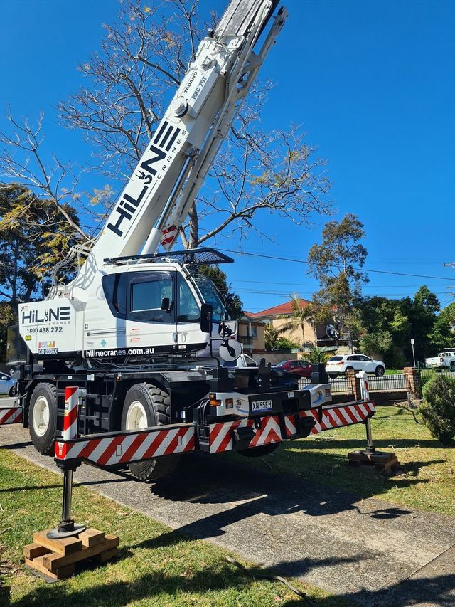 crane hire for tree removal