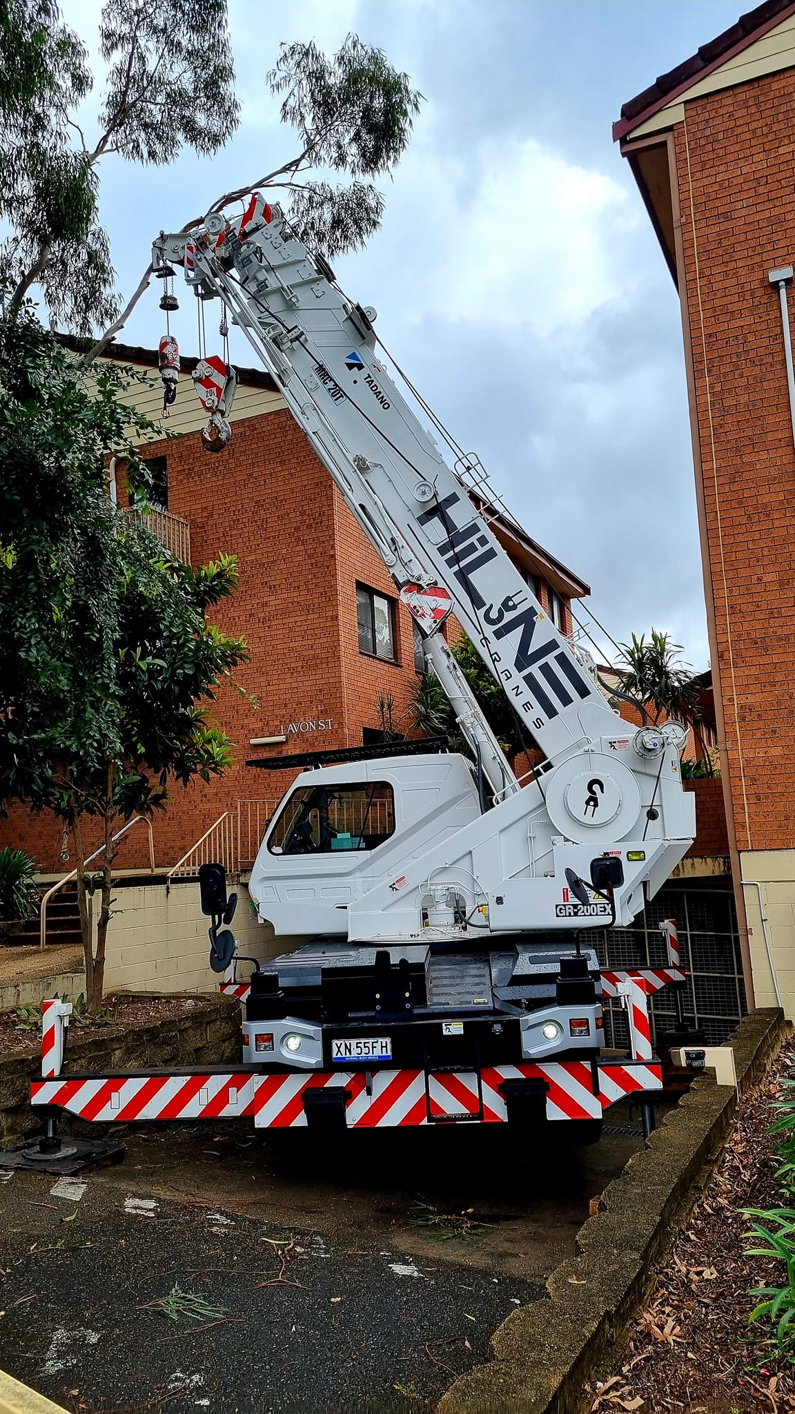 HiLine Cranes helping with tree removal