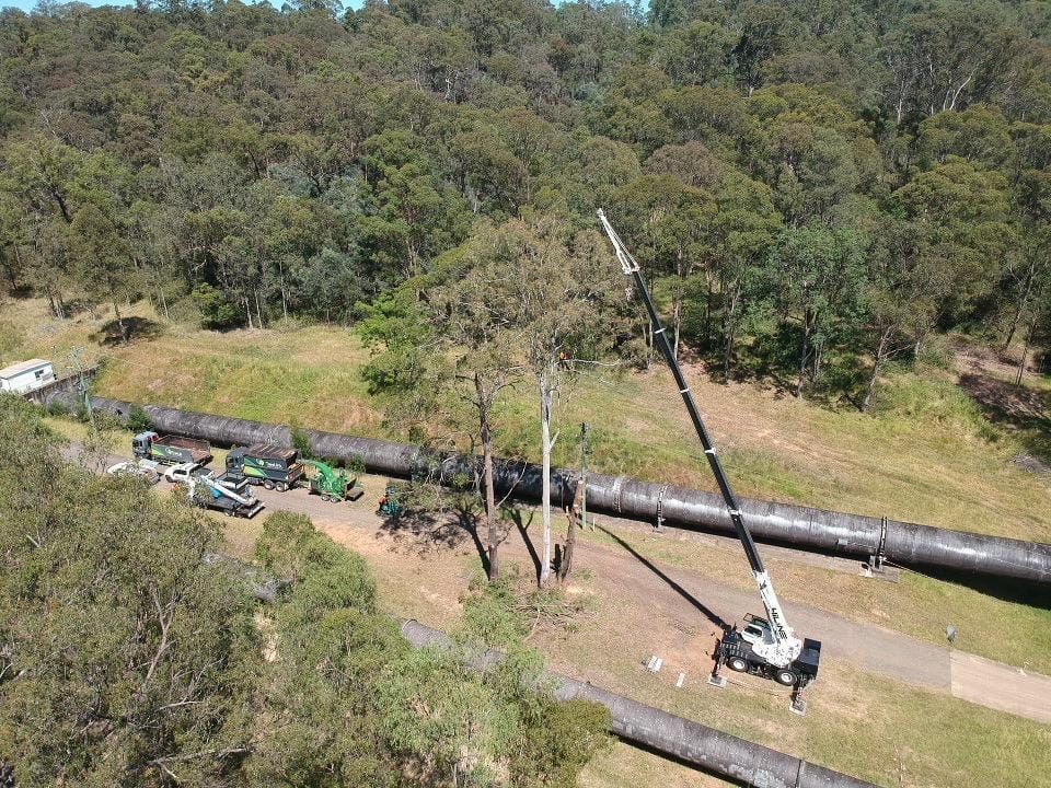 Transplanting Trees