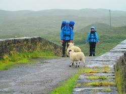 skye neighbours are friendly