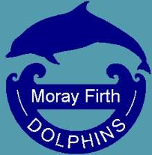 moray firth dolphins