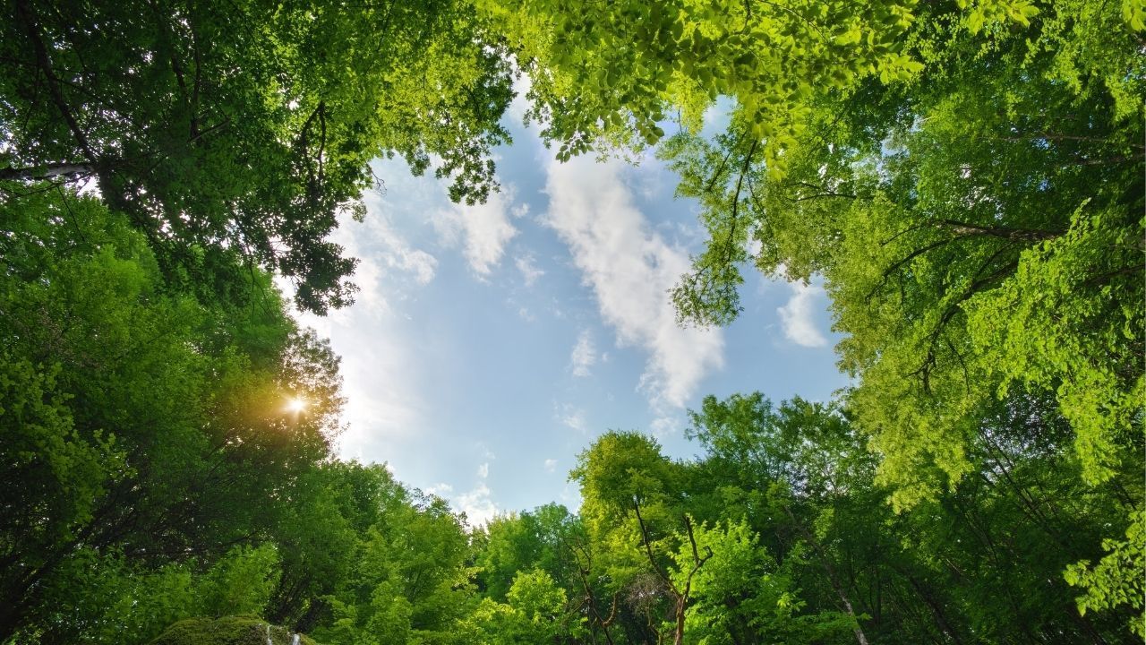 Integrating ESG Investing Into Your California Portfolio