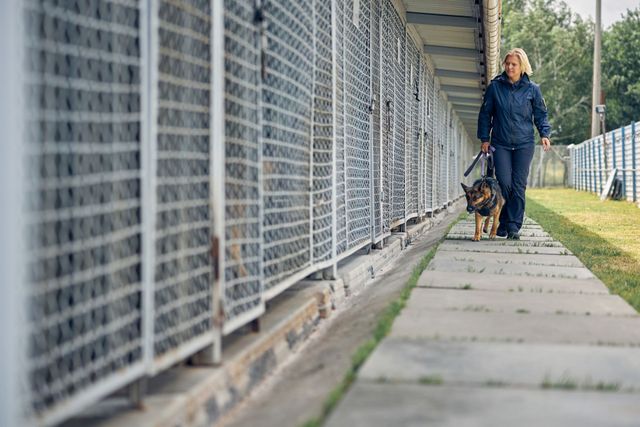 Pet Kennels Insurance in CA (Cost Coverage) BFIS