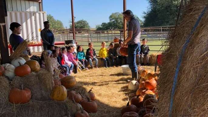 Children visiting and learning at the farm