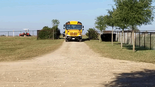 Yellow school bus at the farm