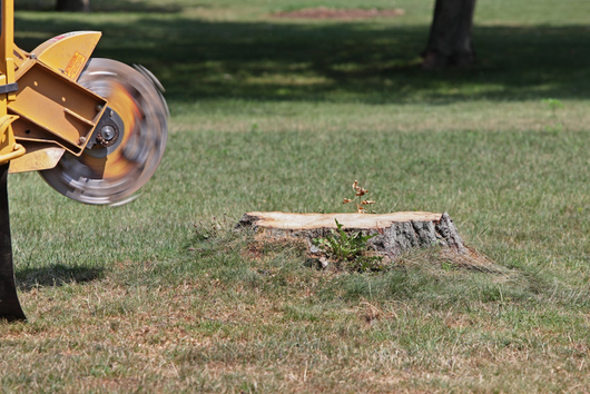 Spinning tree stump cutter | Columbus, GA | Ron's Tree Service LLC